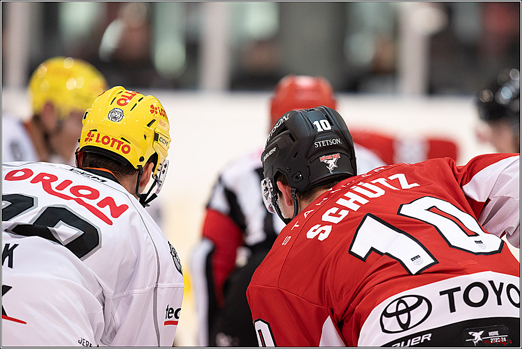 PENNY DEL 1. Testspiel Koelner Haie - Loewen Frankfurt; Koeln, 27.08.2023